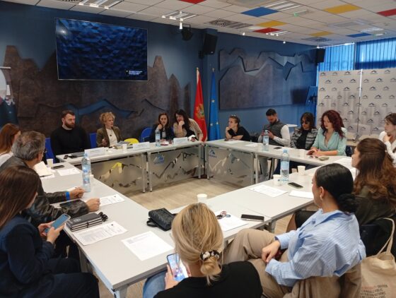Održan cluster sastanak Erasmus+ projekata u oblasti mladih